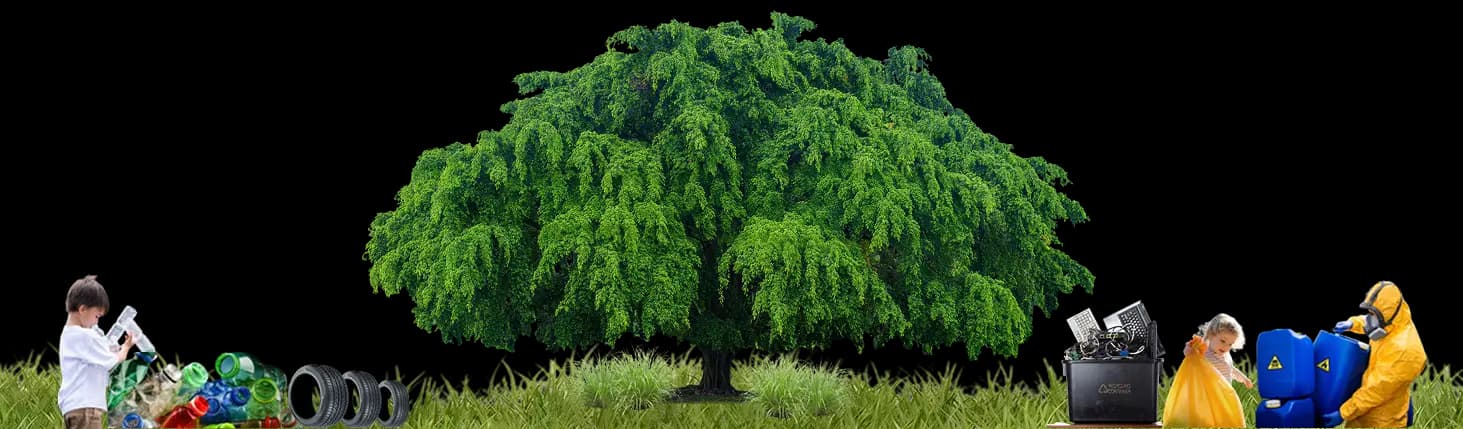 Decorative landscape with trees and glass